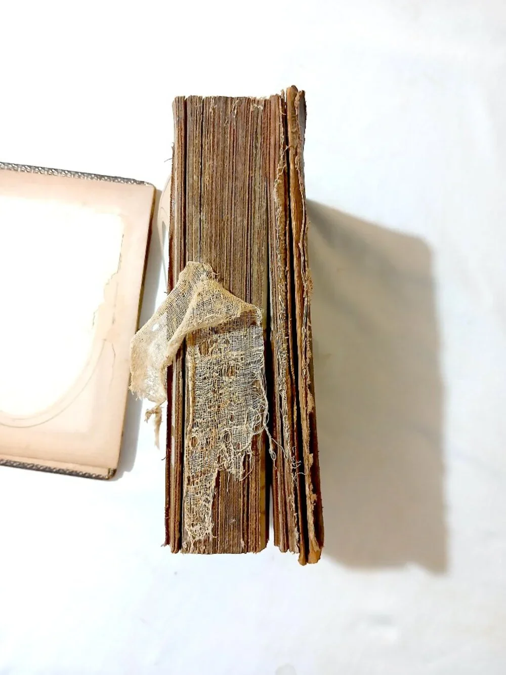 Antique Victorian Photo Album Late 1800s Cabinet Card CDV Empty Floral As-Is